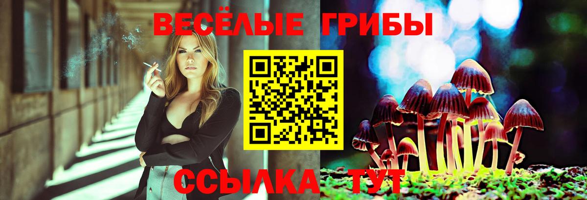 Псилоцибиновые грибы Magic Shrooms  Вход с VPN  дарнет шоп  Лесосибирск 