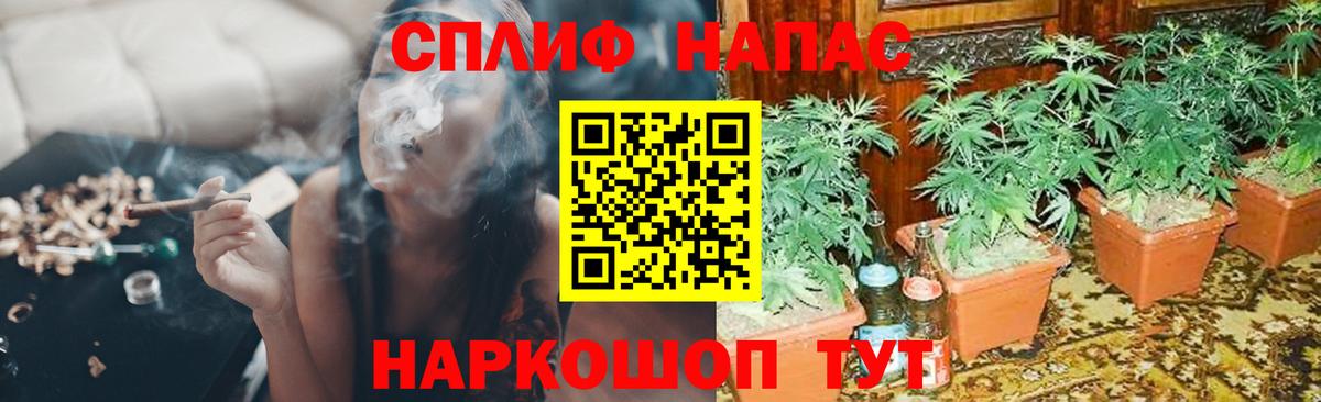 Шишки марихуана ГИДРОПОН Лесосибирск